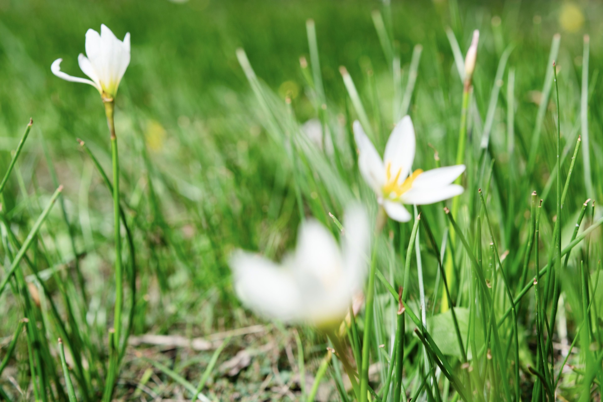18 OCT 24